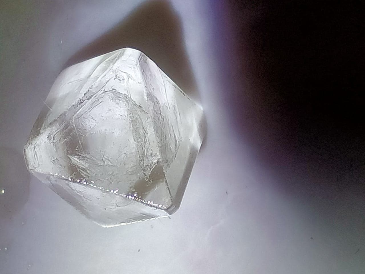 Growing Alum Crystals