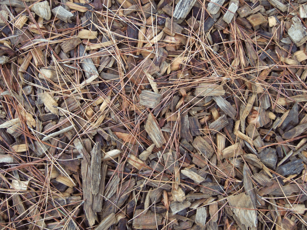 Mulching — Covering the Soil to Save Water and Feed It