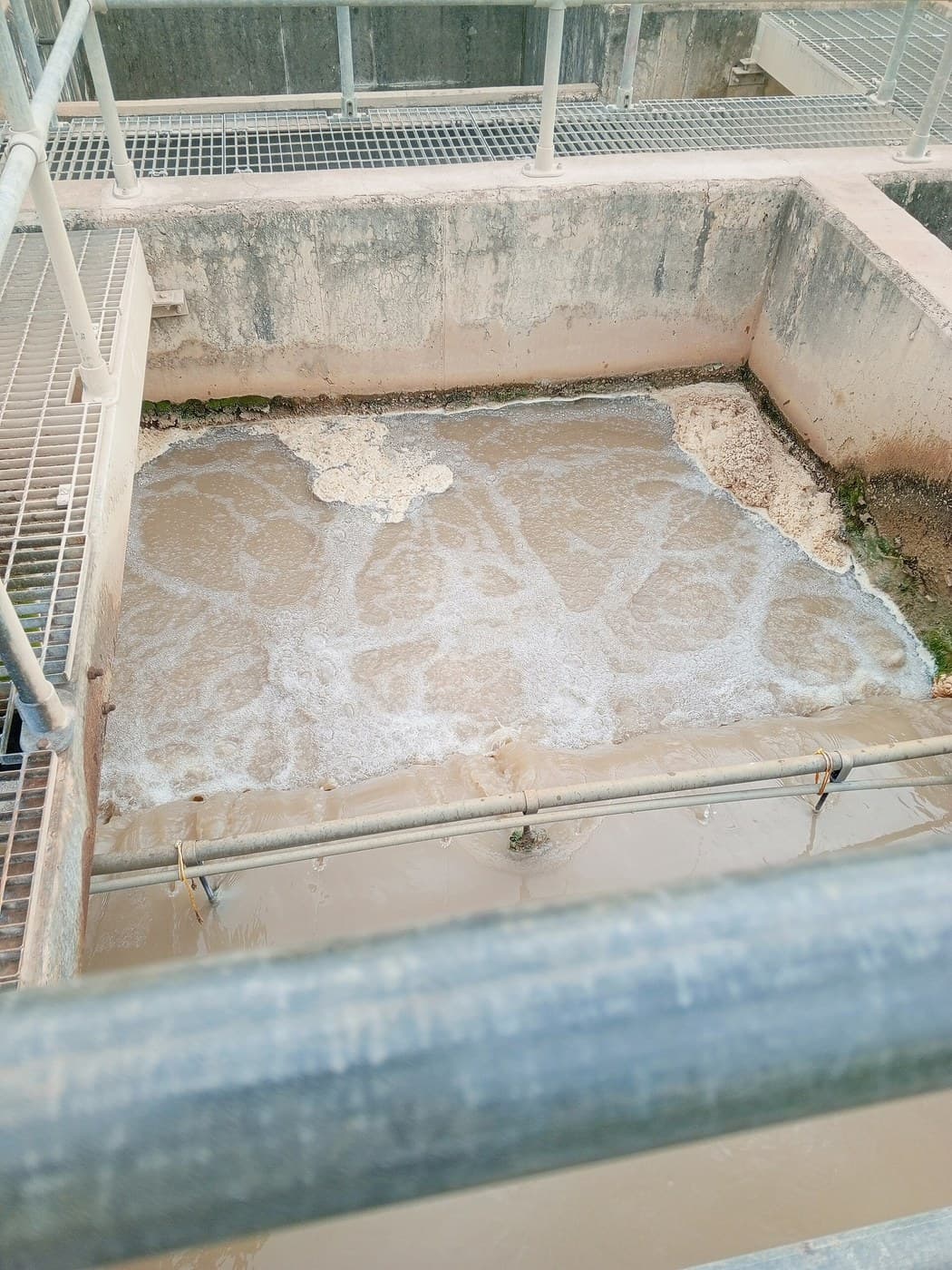 Activated Sludge