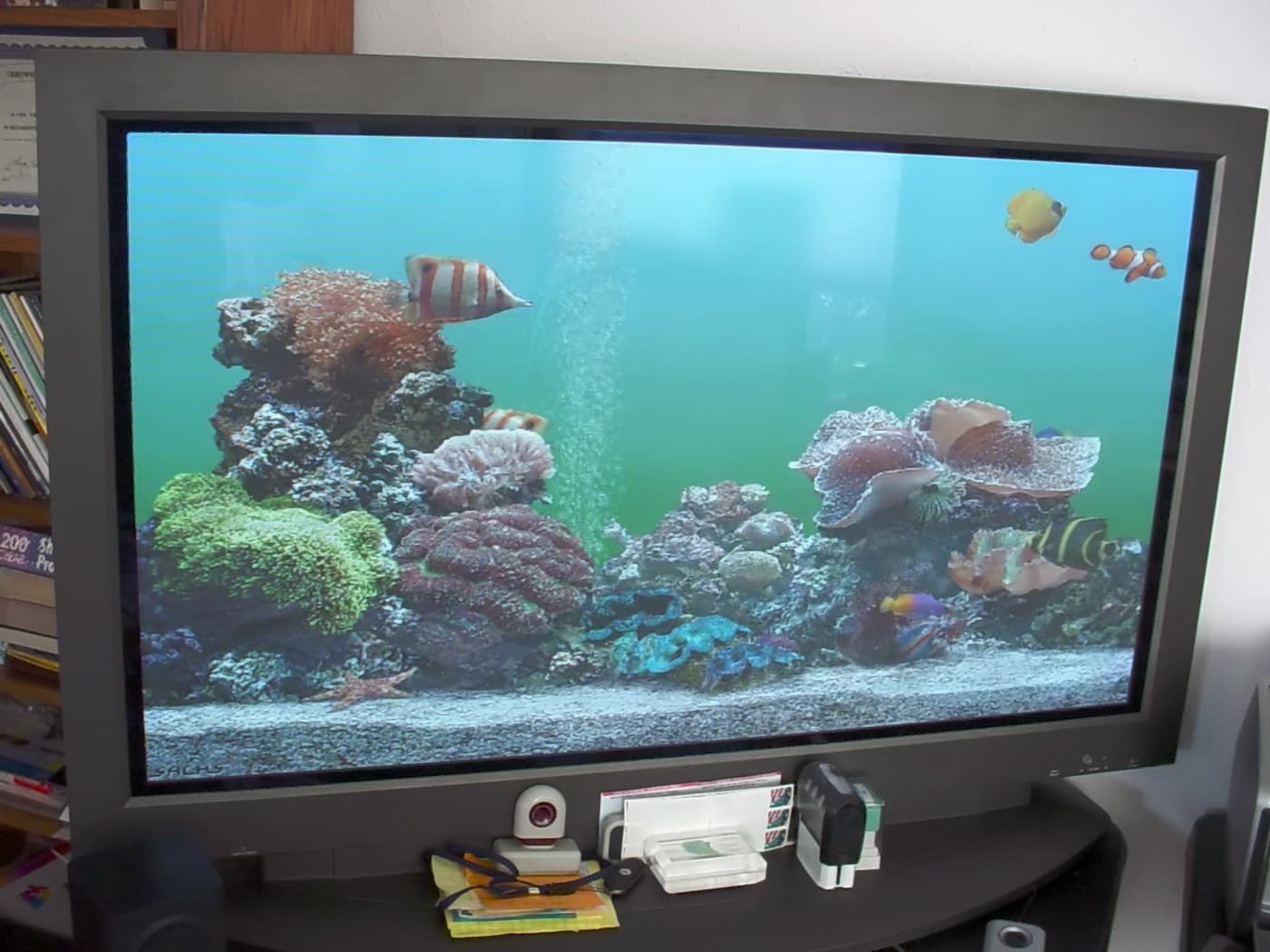 The Plasma Display Panel