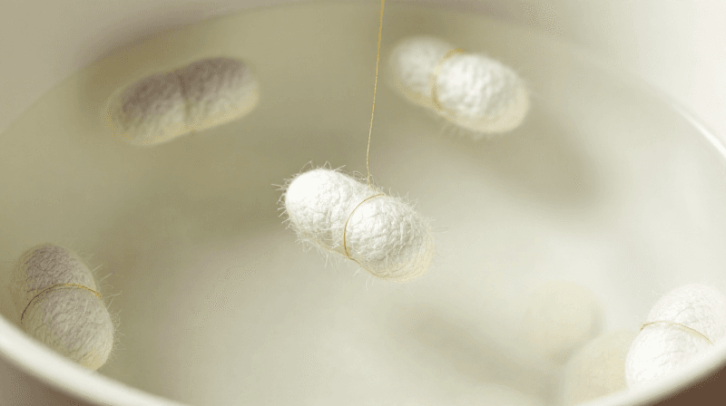 Reeling Silk from Cocoons — Unwinding the Continuous Filament