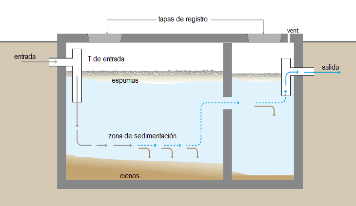The Septic Tank