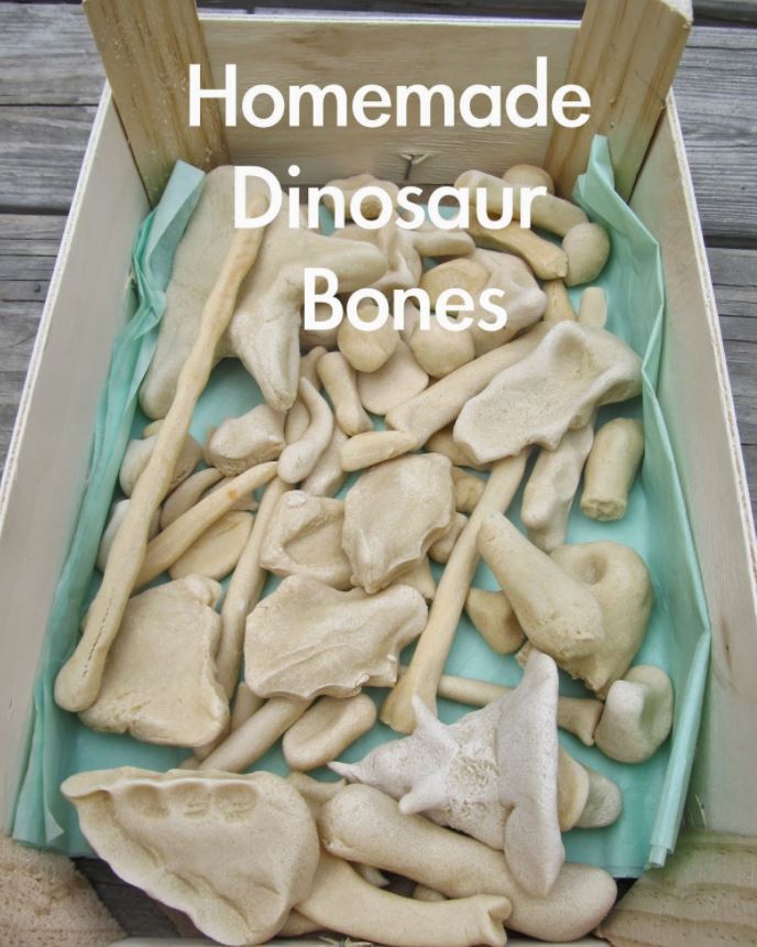 Homemade Dinosaur Bones