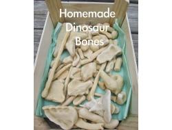 Homemade Dinosaur Bones
